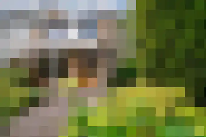 Zonegge 09 10 Zevenaar thumbnail 4