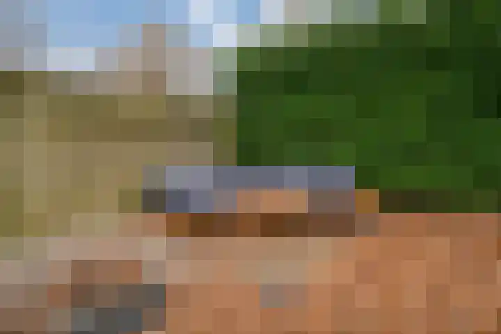 Zonegge 10 10 5 Zevenaar thumbnail 28