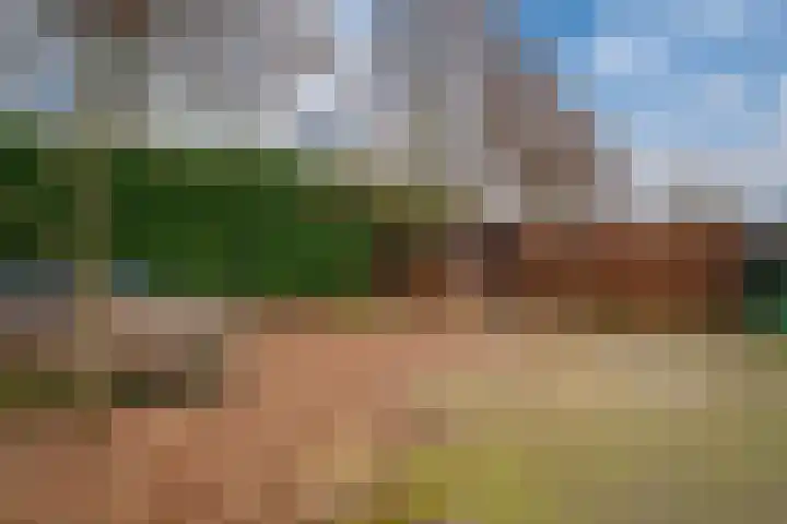 Zonegge 10 10 5 Zevenaar thumbnail 29