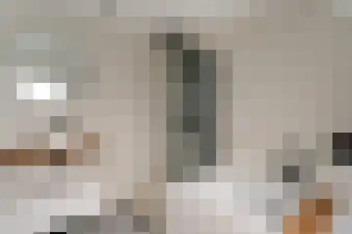 Zonegge 10 10 5 Zevenaar thumbnail 4