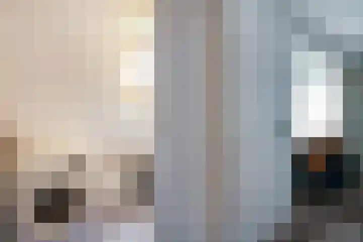 Zonegge 10 10 5 Zevenaar thumbnail 47
