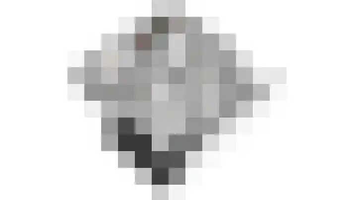Zonegge 10 10 5 Zevenaar thumbnail 61