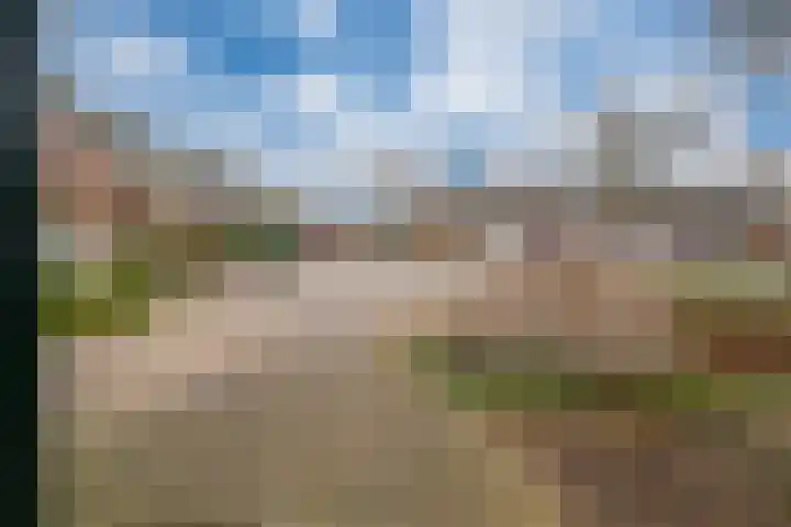 Zonegge 10 10 5 Zevenaar thumbnail 8