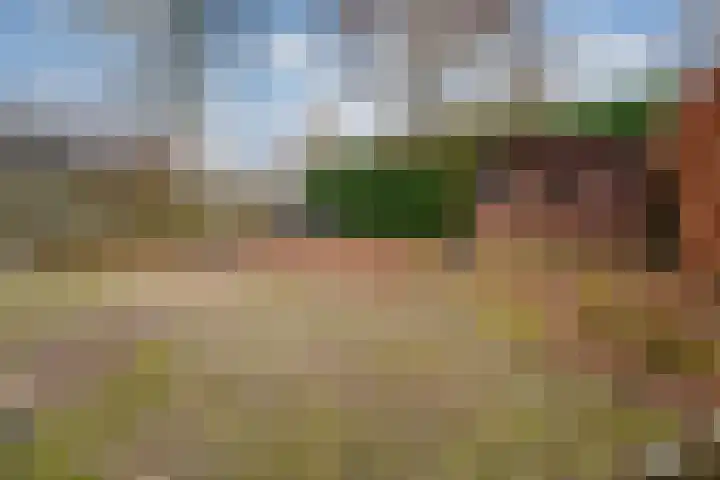 Zonegge 10 5 Zevenaar thumbnail 25