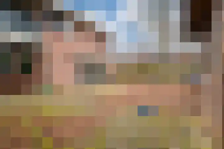 Zonegge 10 5 Zevenaar thumbnail 26