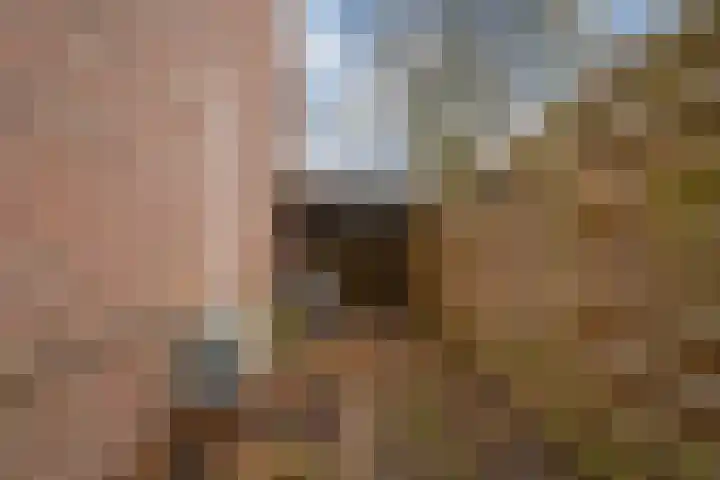 Zonegge 10 5 Zevenaar thumbnail 30