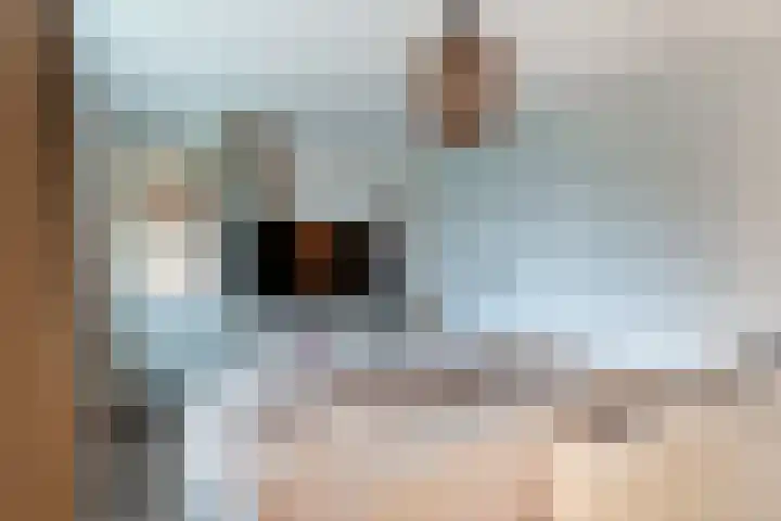 Zonegge 10 5 Zevenaar thumbnail 33