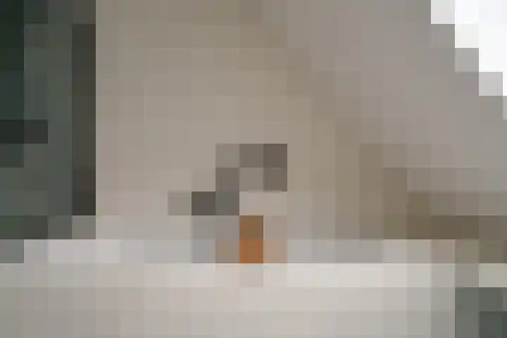 Zonegge 10 5 Zevenaar thumbnail 44