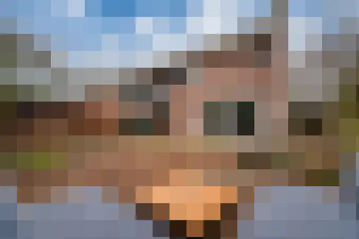Zonegge 10 5 Zevenaar thumbnail 5