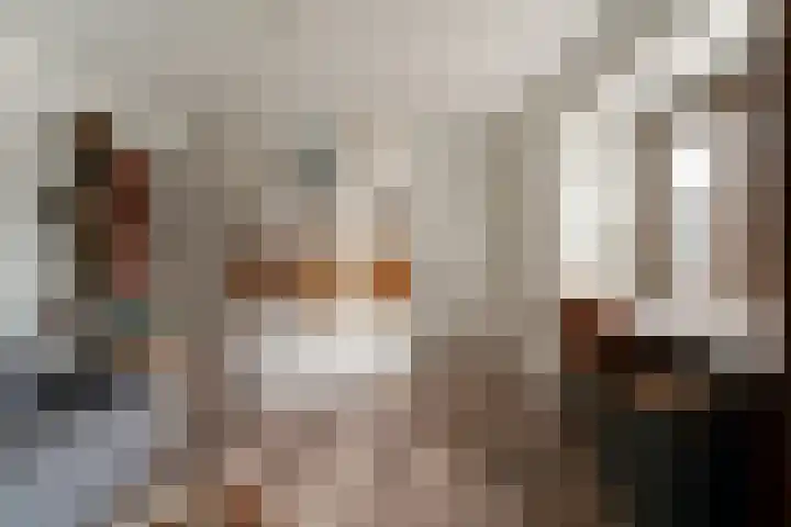 Zonegge 10 5 Zevenaar thumbnail 51