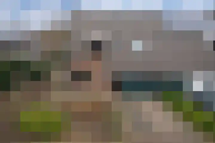 Zonegge 10 5 Zevenaar thumbnail 6