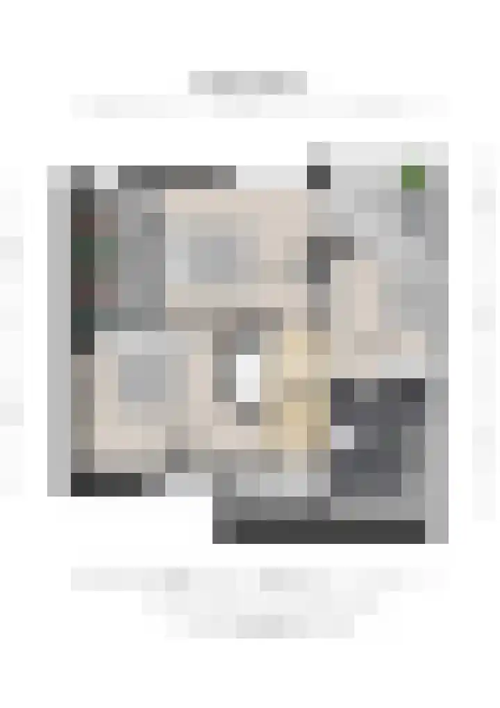 Zonegge 10 5 Zevenaar thumbnail 60