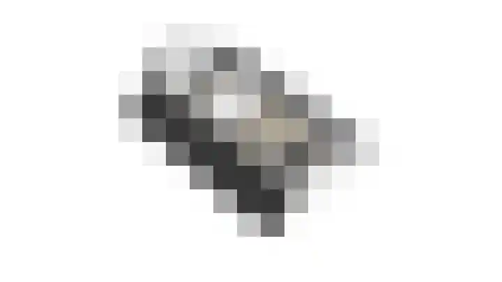 Zonegge 10 5 Zevenaar thumbnail 63