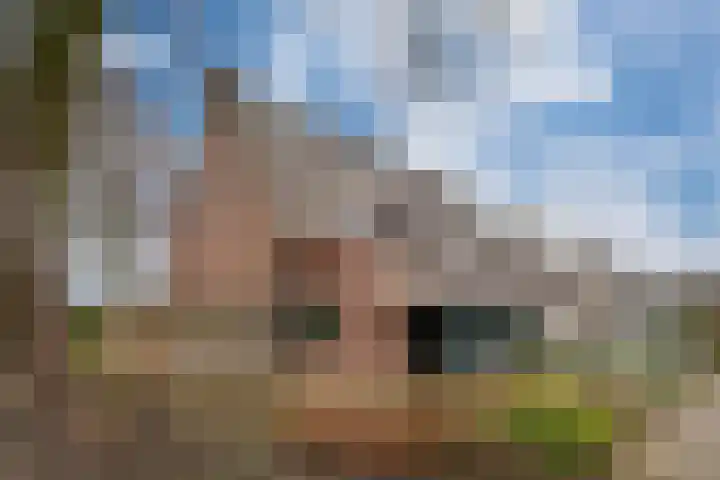 Zonegge 10 5 Zevenaar thumbnail 7