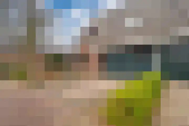 Zonegge 10 5 Zevenaar thumbnail 9
