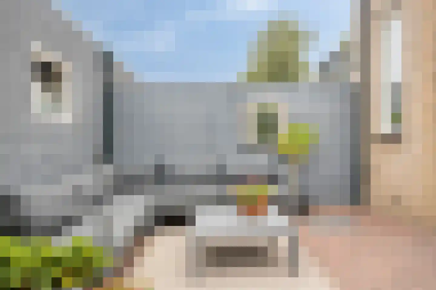 Zonegge 13 11 Zevenaar thumbnail 23