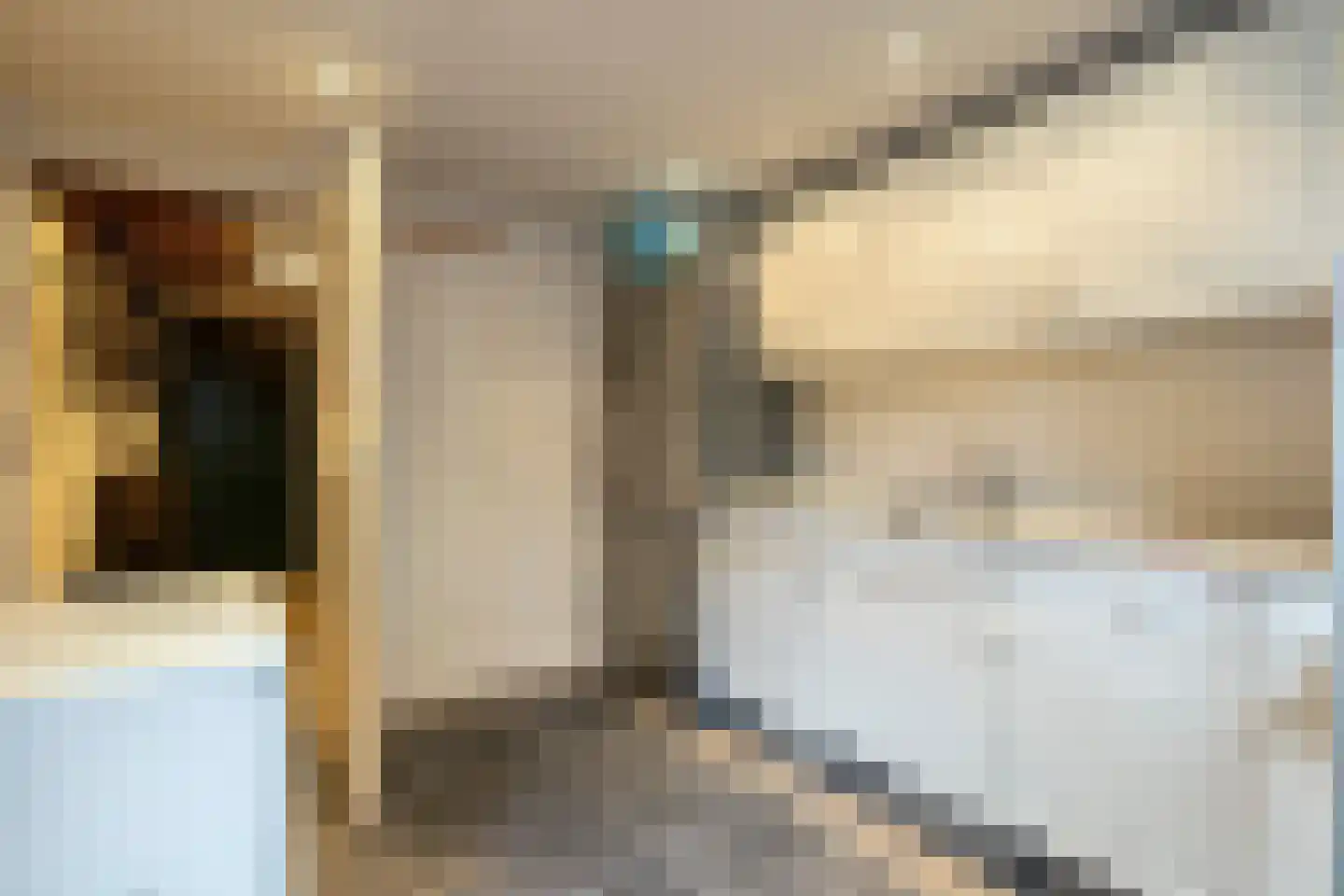 Zonegge 13 11 Zevenaar thumbnail 25