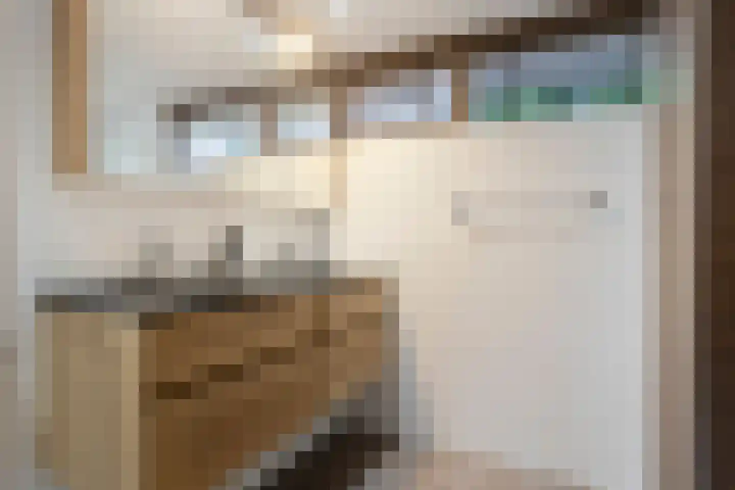Zonegge 13 11 Zevenaar thumbnail 31