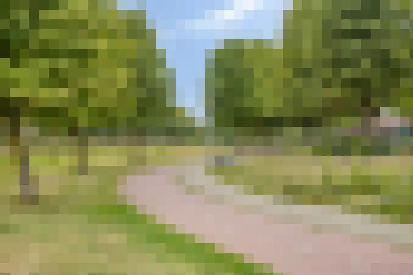 Zonegge 13 11 Zevenaar thumbnail 40