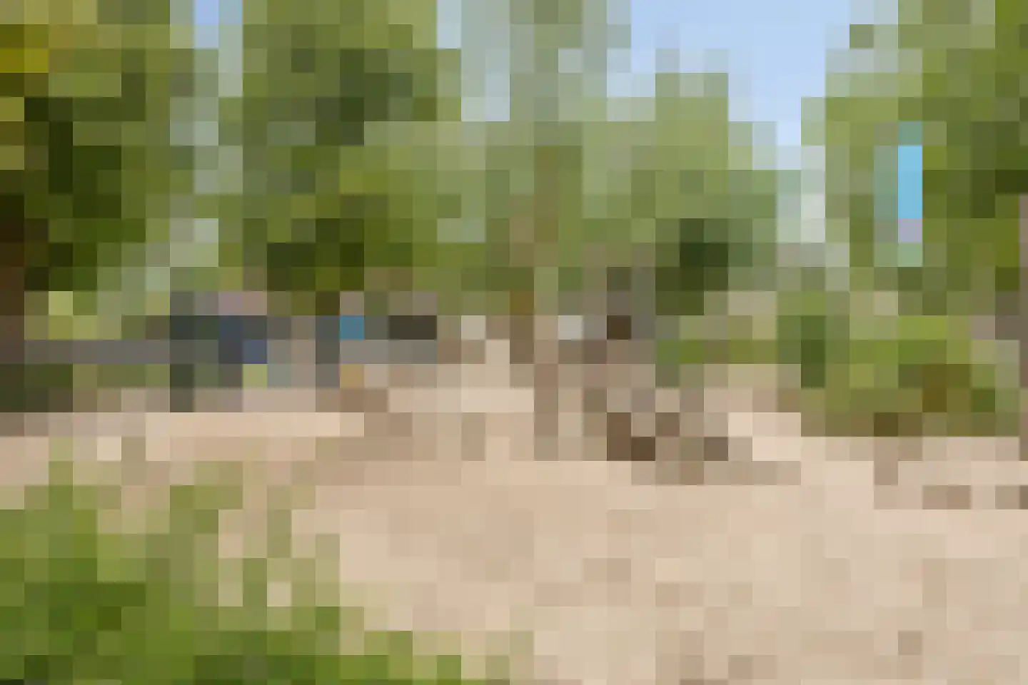 Zonegge 13 11 Zevenaar thumbnail 41