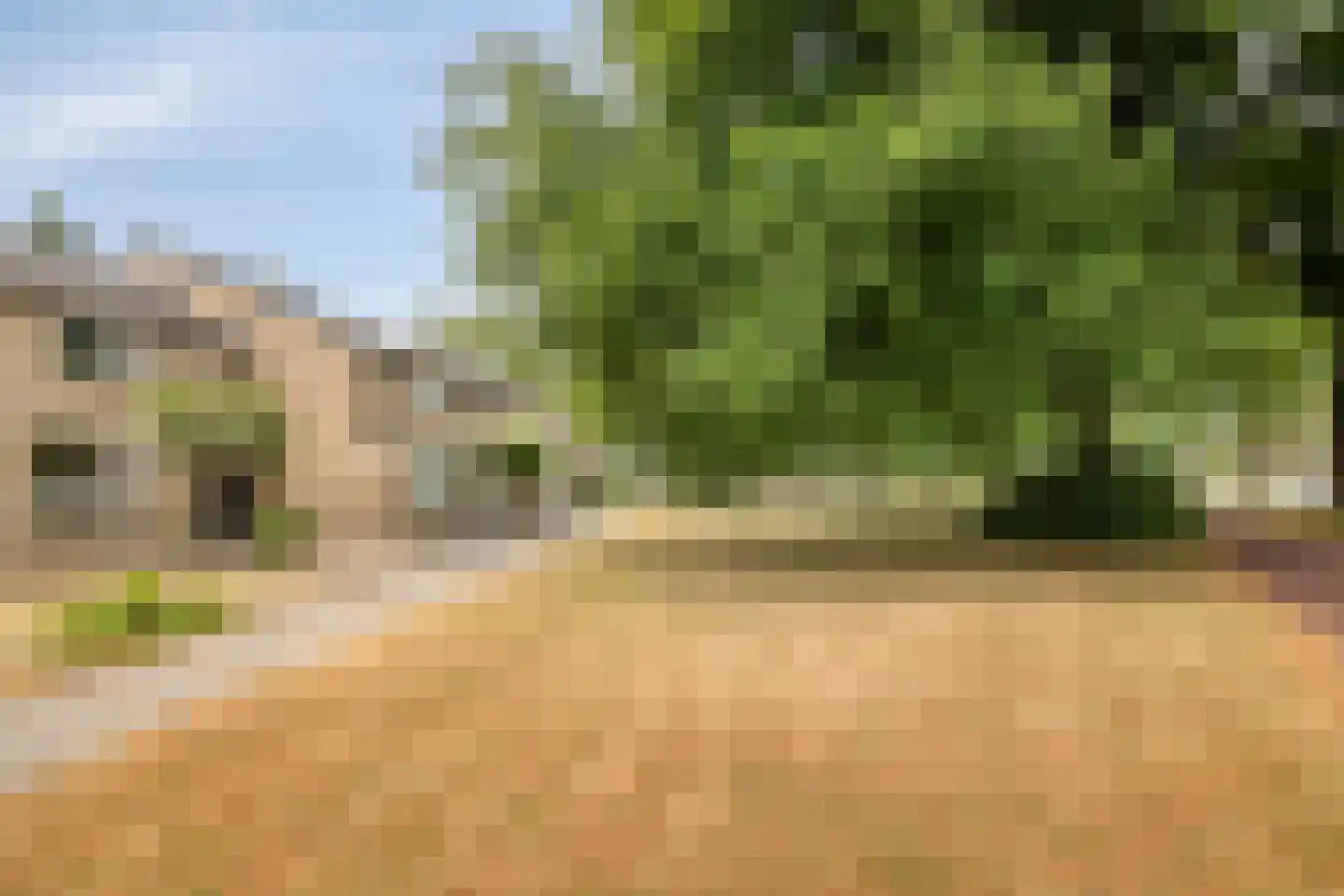 Zonegge 13 11 Zevenaar thumbnail 6
