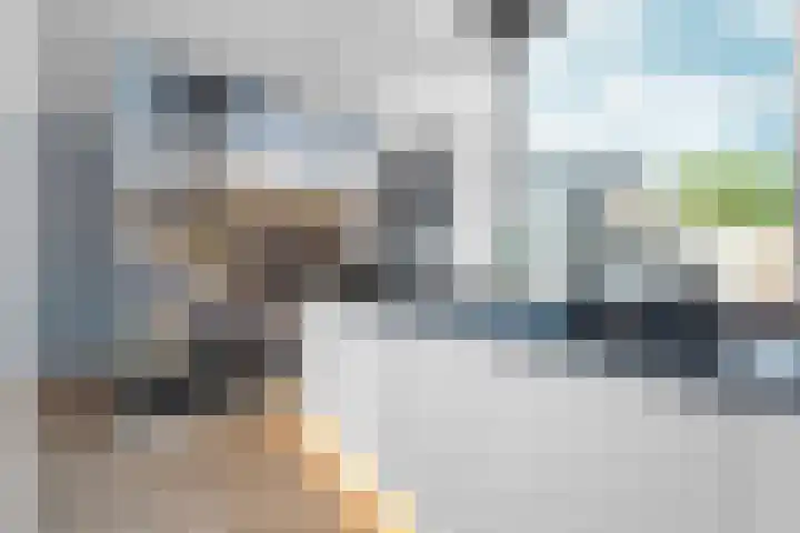 Zonegge 13 13 4 Zevenaar thumbnail 18
