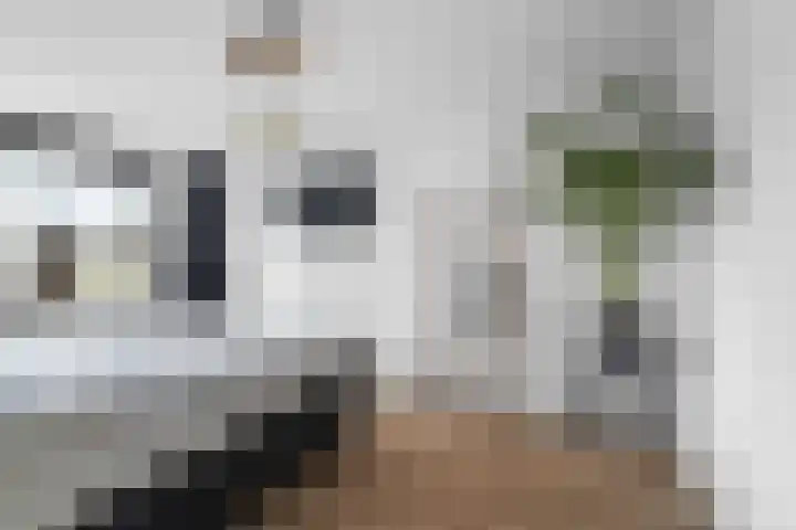 Zonegge 13 13 4 Zevenaar thumbnail 23