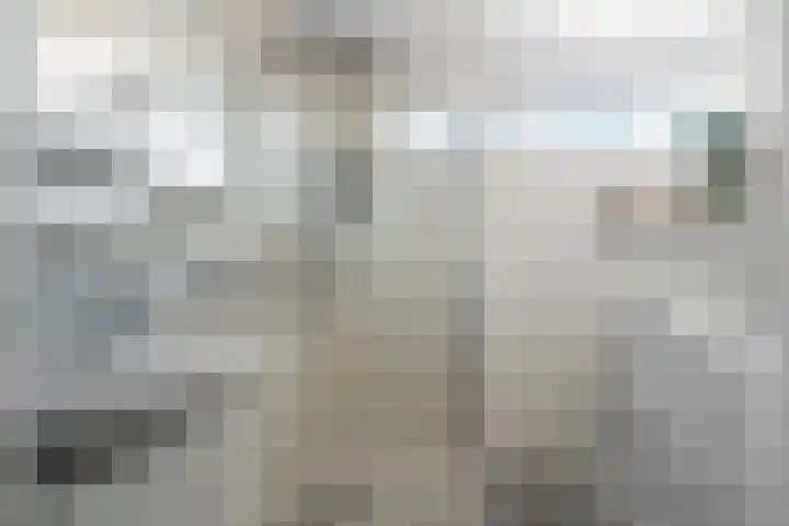 Zonegge 13 13 4 Zevenaar thumbnail 30