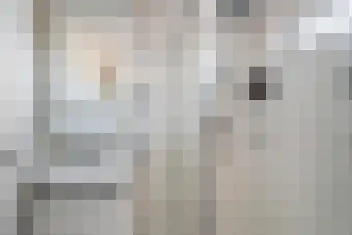 Zonegge 13 13 4 Zevenaar thumbnail 32