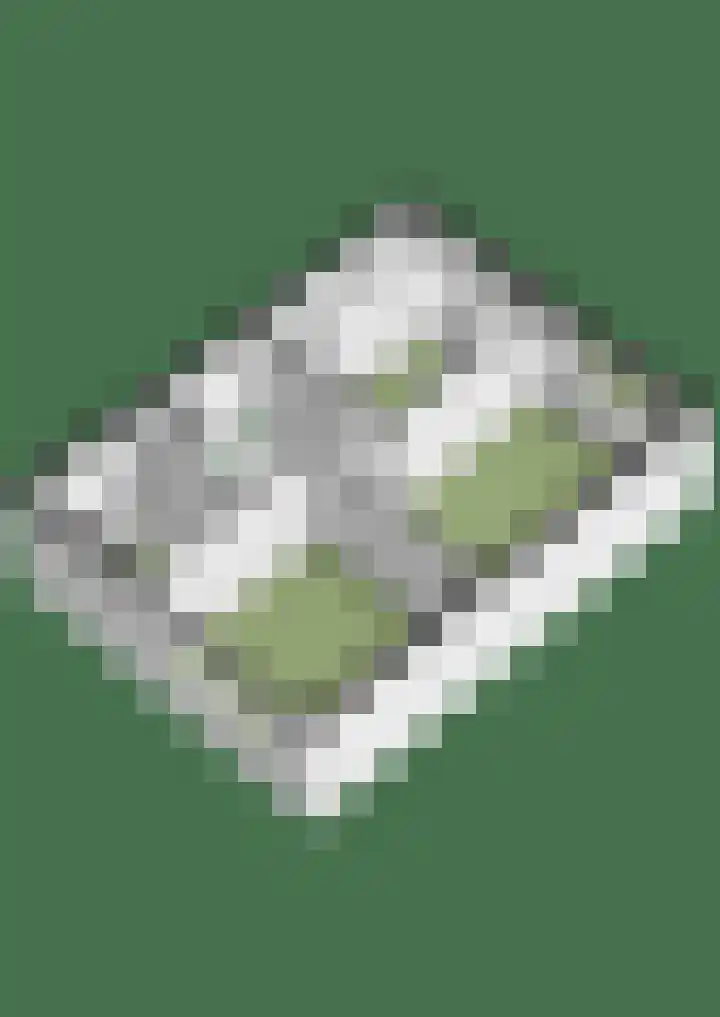Zonegge 13 13 4 Zevenaar thumbnail 45