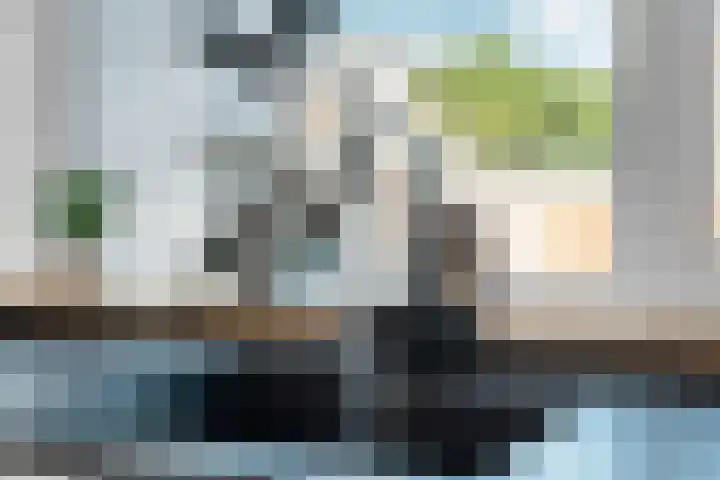 Zonegge 13 4 Zevenaar thumbnail 16