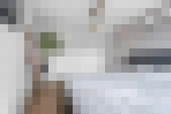 Zonegge 13 4 Zevenaar thumbnail 24