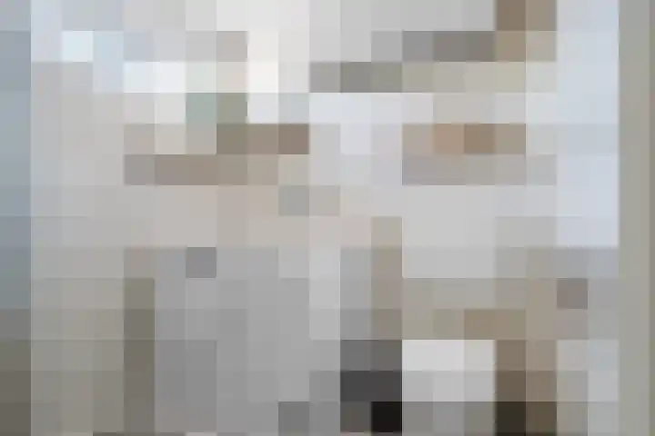 Zonegge 13 4 Zevenaar thumbnail 31