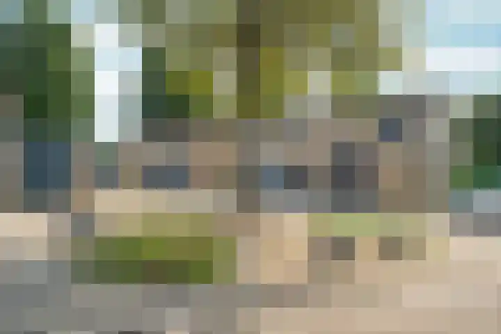 Zonegge 13 4 Zevenaar thumbnail 39