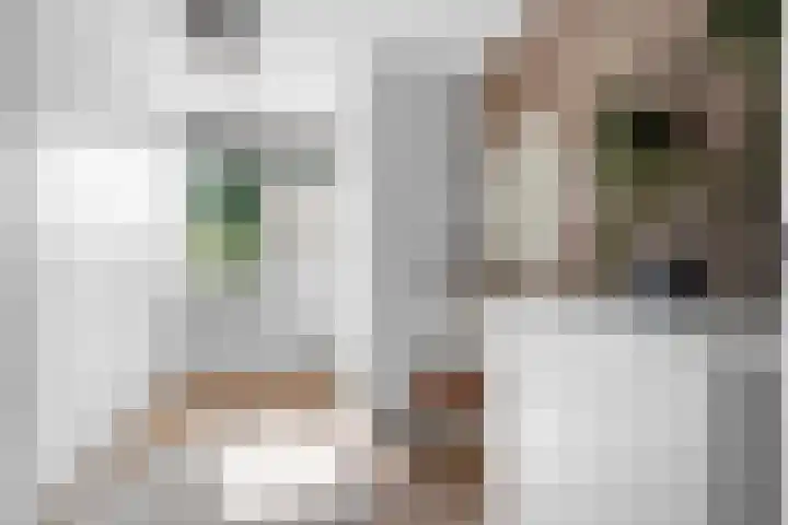 Zonegge 13 4 Zevenaar thumbnail 4