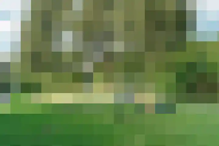 Zonegge 13 4 Zevenaar thumbnail 40