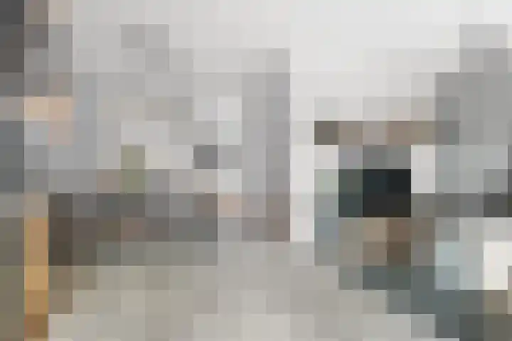 Zonegge 13 4 Zevenaar thumbnail 8