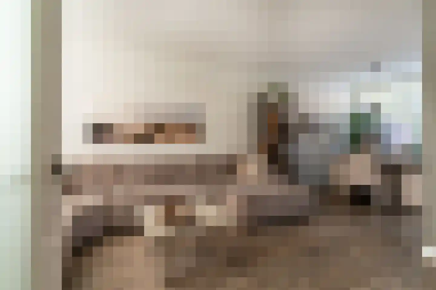 Zonegge 14 19 Zevenaar thumbnail 18