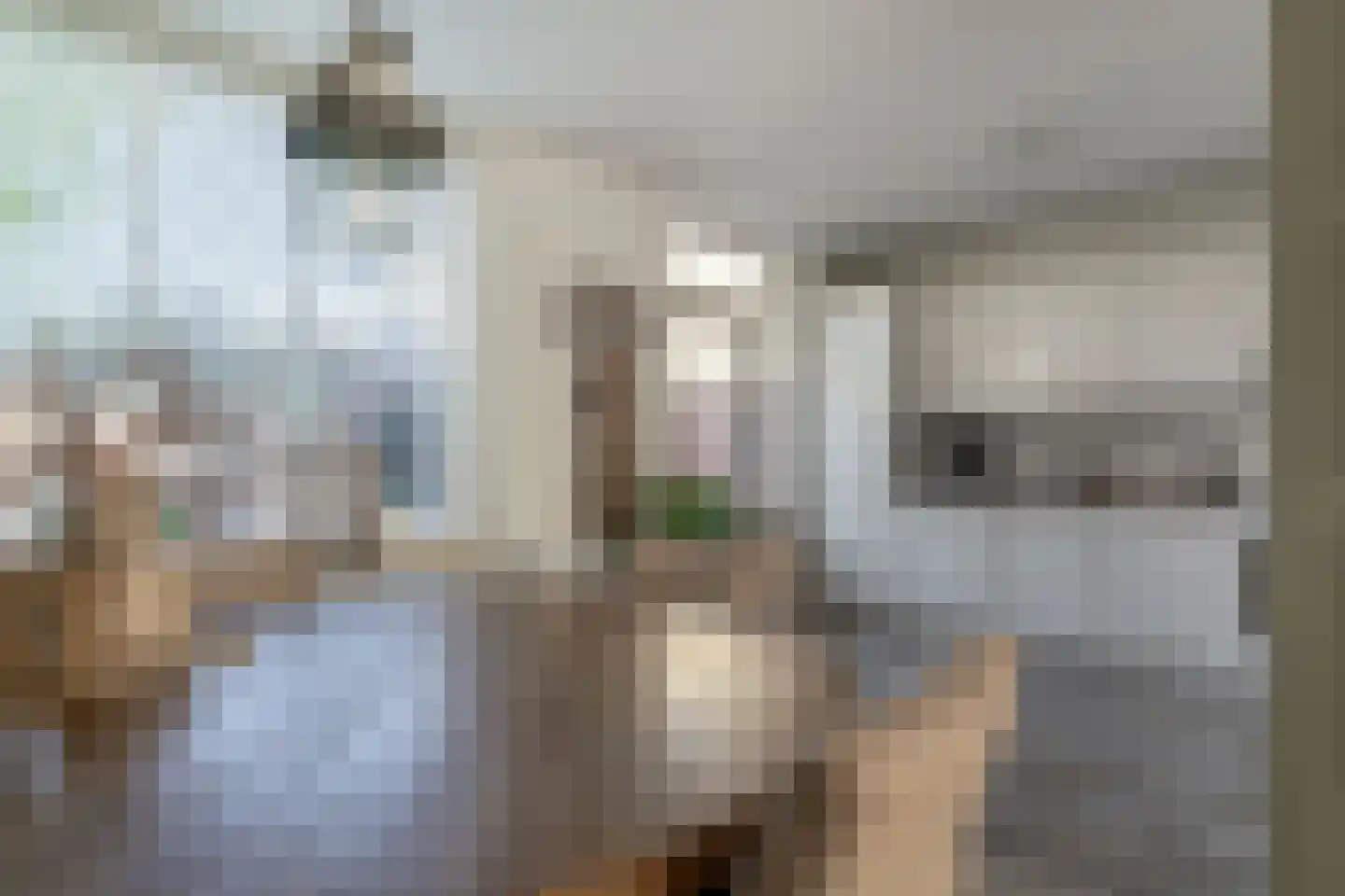 Zonegge 14 19 Zevenaar thumbnail 22