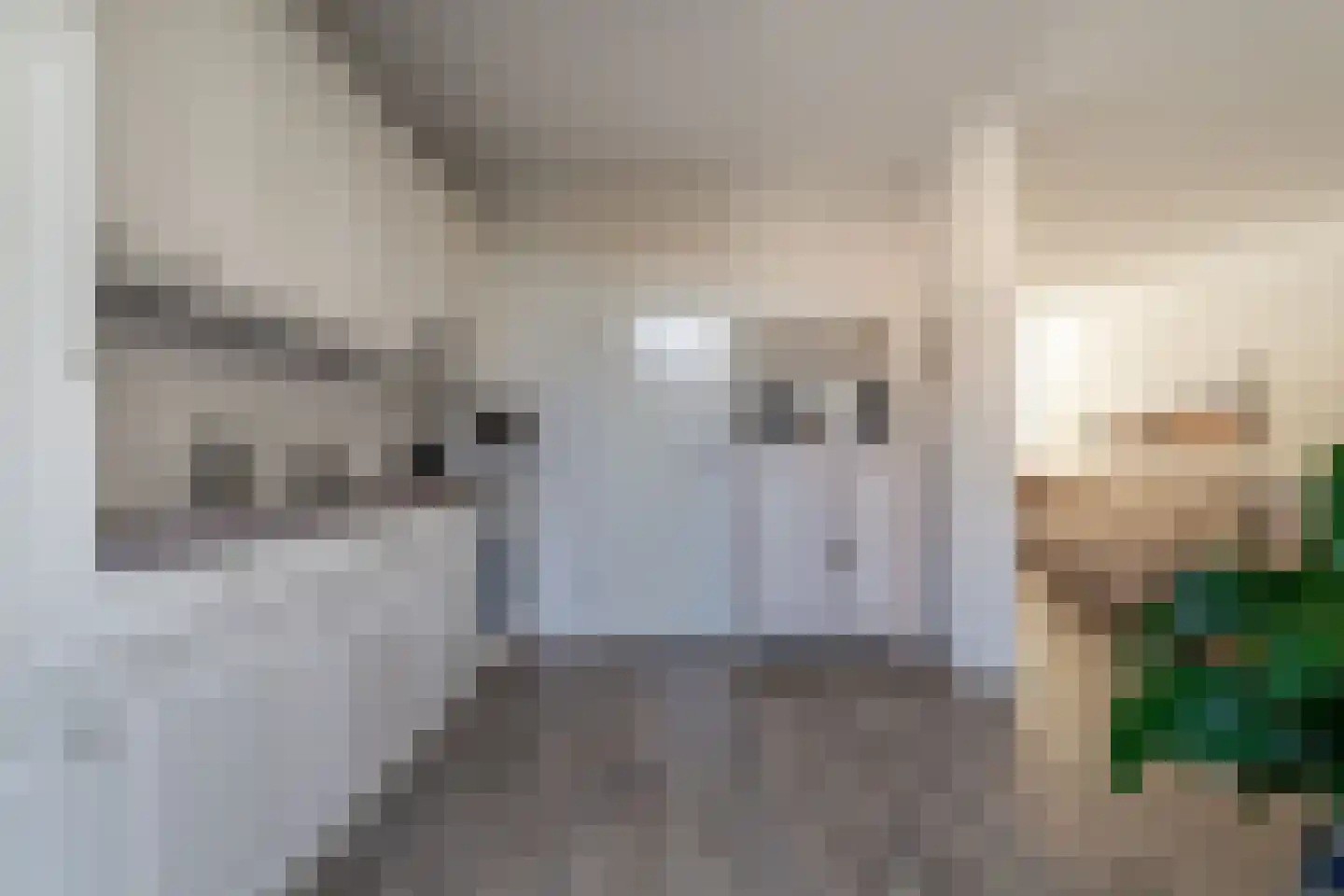 Zonegge 14 19 Zevenaar thumbnail 24