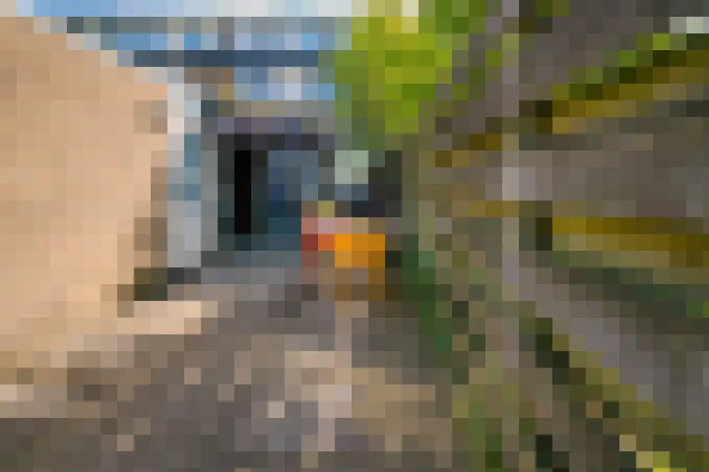Zonegge 14 19 Zevenaar thumbnail 29