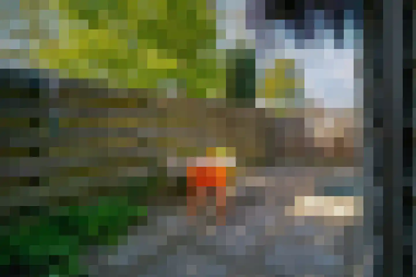 Zonegge 14 19 Zevenaar thumbnail 31