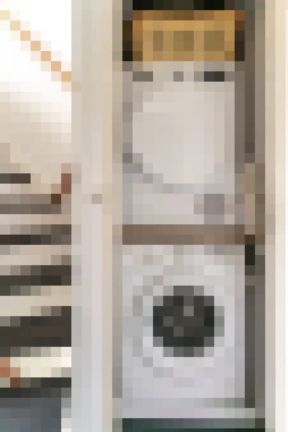 Zonegge 14 19 Zevenaar thumbnail 38