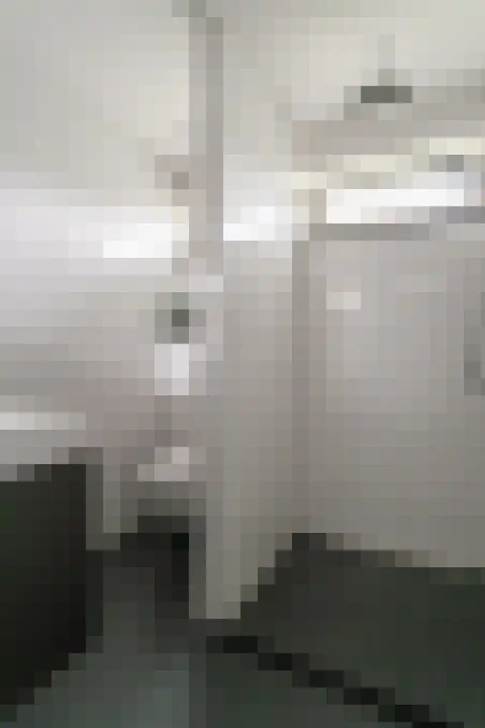 Zonegge 14 19 Zevenaar thumbnail 39