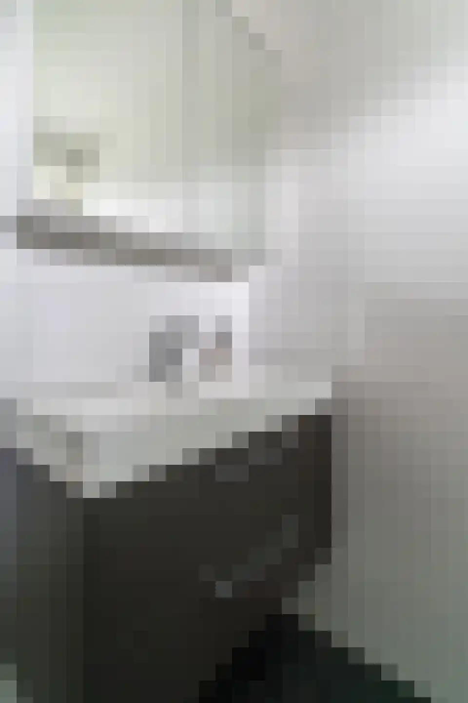 Zonegge 14 19 Zevenaar thumbnail 41