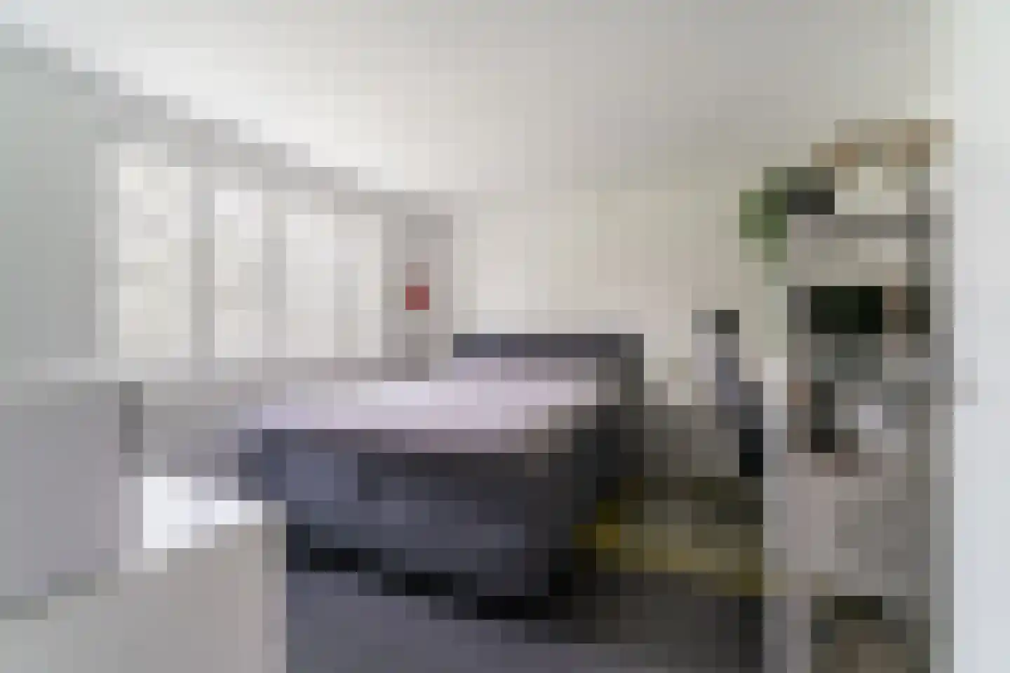 Zonegge 14 19 Zevenaar thumbnail 42