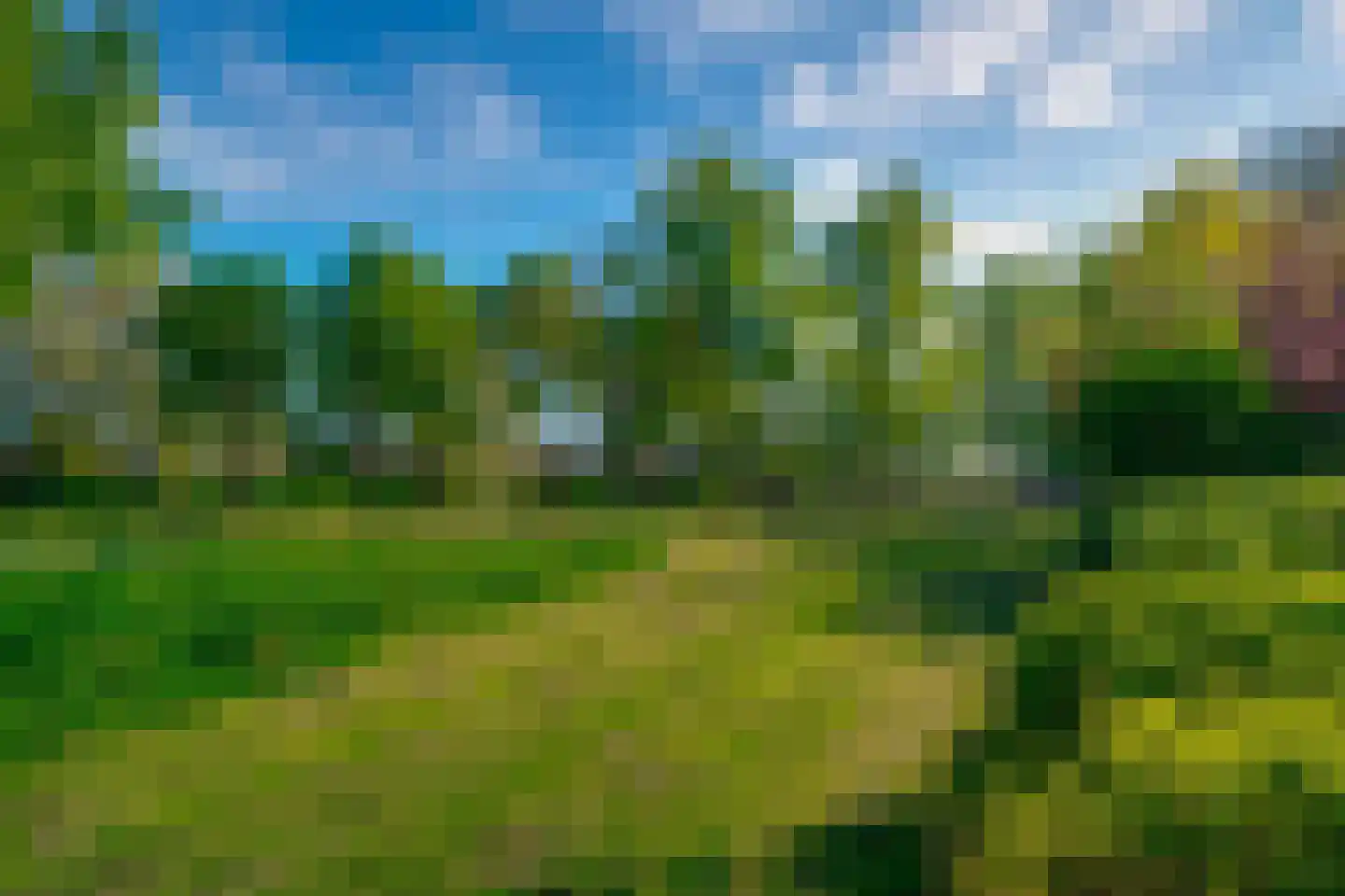 Zonegge 14 19 Zevenaar thumbnail 54