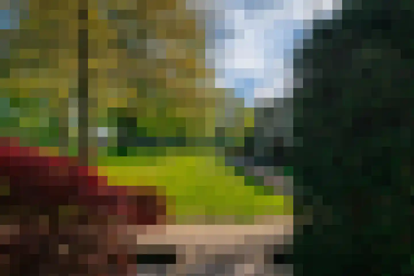 Zonegge 14 19 Zevenaar thumbnail 7