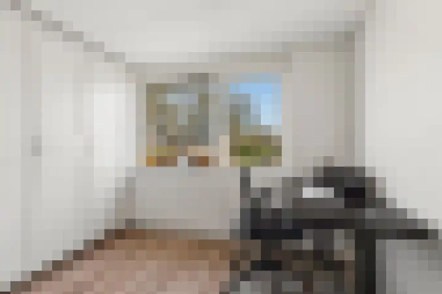 Zonegge 14 25 Zevenaar thumbnail 25