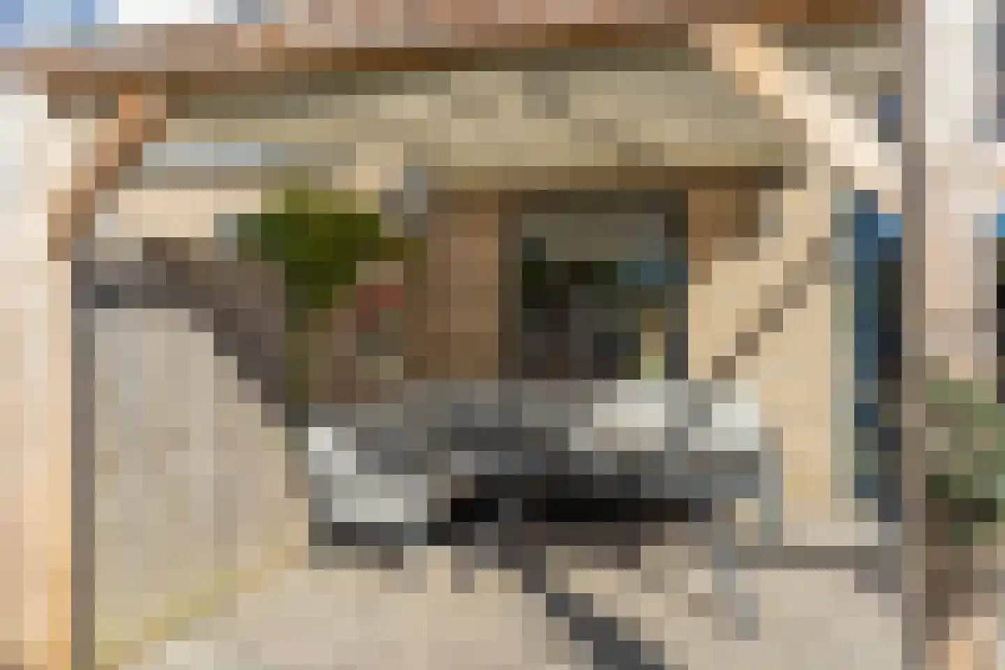 Zonegge 14 25 Zevenaar thumbnail 40